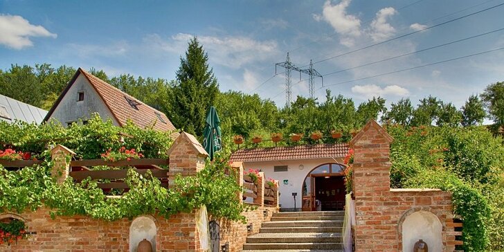 Skvělé zážitky ve vinařství Krýsa: ráj milovníků vína a jižní Moravy
