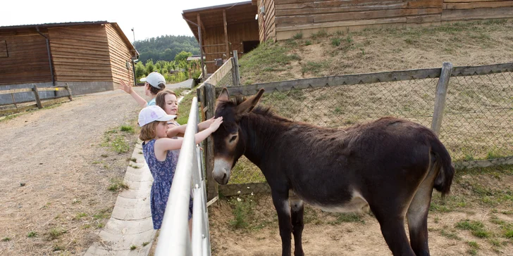 Pokud budete chtít, zajezdíte si tu i na koni.
