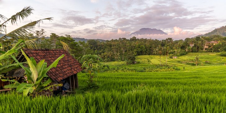 Zažijte dovolenou na Bali jako theSIKLS: rafting, kurz vaření, návštěva chrámů i výlety do džungle za zvířaty