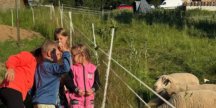 Pobyt si tu užijí i děti.

