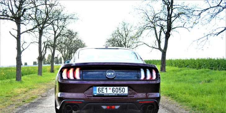 Ford Mustang 5.0 GT 2019: 20–60 min. jízdy nebo zapůjčení na 8 hod. i víkend