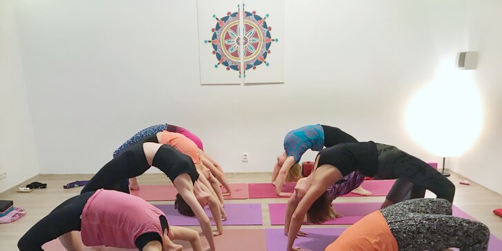 Léto s jógou: 1–5 lekcí jógy pro začátečníky i pokročilé v Eka Yoga Space