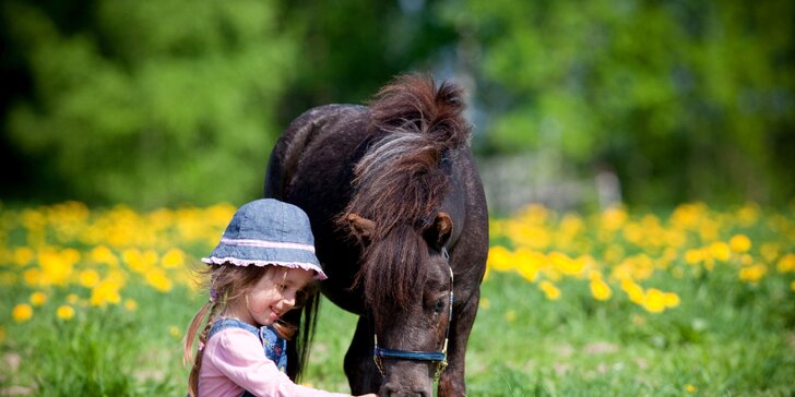 Osedlejte úžasný zážitek: projížďky na koních a ponících pro děti i dospělé