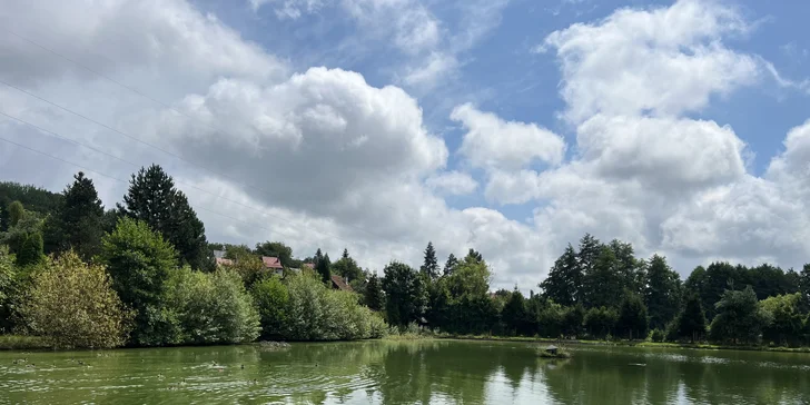 A co za kousky tu chytíte? Kapry, amury, štiky, sumce a další drobné ryby.