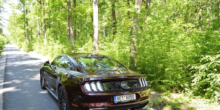 Ford Mustang 5.0 GT 2019: 20–60 min. jízdy nebo zapůjčení na 8 hod. i víkend