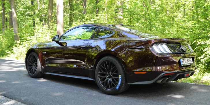 Ford Mustang 5.0 GT 2019: 20–60 min. jízdy nebo zapůjčení na 8 hod. i víkend