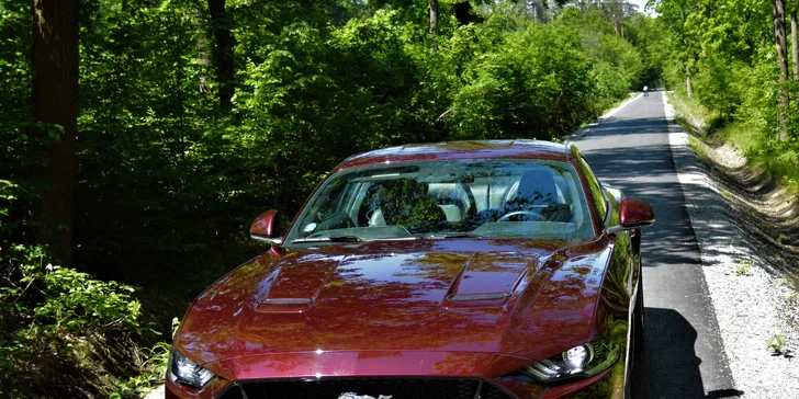 Ford Mustang 5.0 GT 2019: 20–60 min. jízdy nebo zapůjčení na 8 hod. i víkend