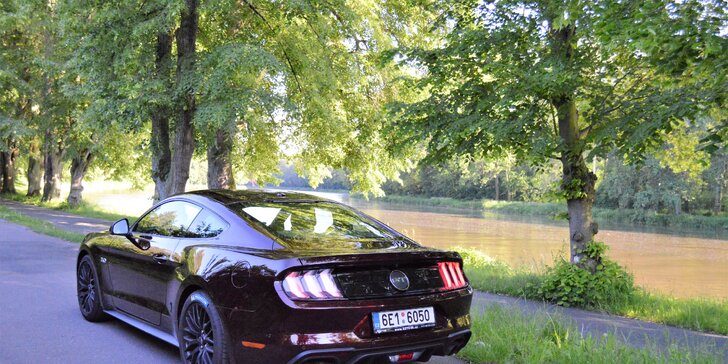 Ford Mustang 5.0 GT 2019: 20–60 min. jízdy nebo zapůjčení na 8 hod. i víkend