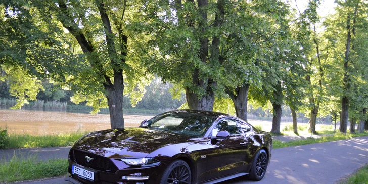 Ford Mustang 5.0 GT 2019: 20–60 min. jízdy nebo zapůjčení na 8 hod. i víkend