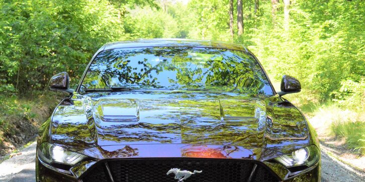Ford Mustang 5.0 GT 2019: 20–60 min. jízdy nebo zapůjčení na 8 hod. i víkend
