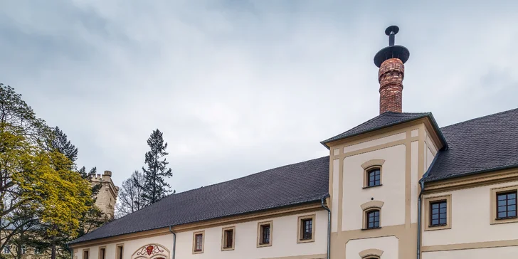 Pobyt na ranči ve stylu Provence: moderní apartmán s kuchyňkou a bazén