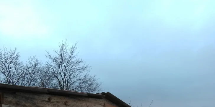 Prožijte fajn den u koní: seznámení, péče i jízda pod dohledem trenéra