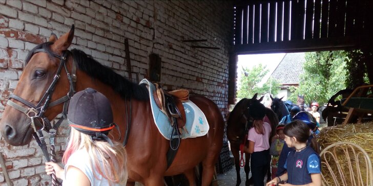 Letní jezdecký výcvik s programem: týdenní dětský tábor v koňské společnosti