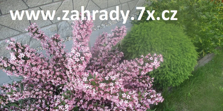 Okolí domu jako ze žurnálu: vizualizace zahrady od zkušených architektů