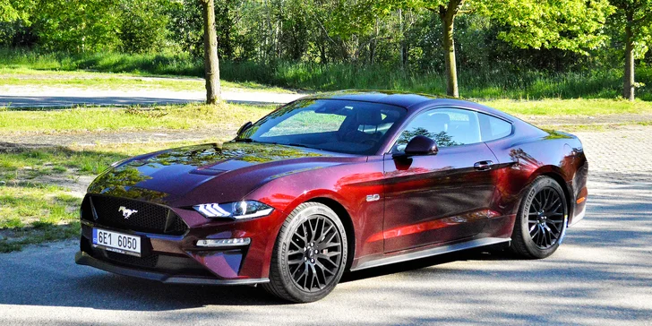 Ford Mustang 5.0 GT 2019: 20–60 min. jízdy nebo zapůjčení na 8 hod. i víkend