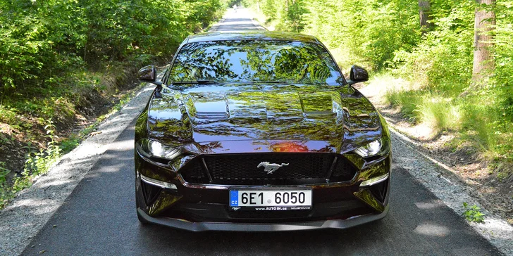 Ford Mustang 5.0 GT 2019: 20–60 min. jízdy nebo zapůjčení na 8 hod. i víkend