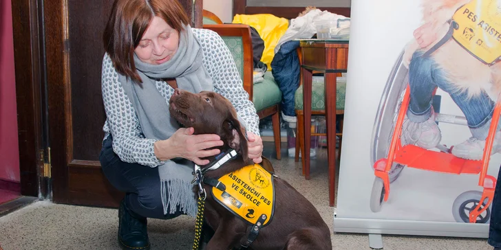 Složme se zrakově postiženému Ondrovi na výcvik asistenčního pejska