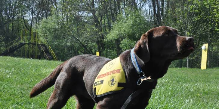Složme se zrakově postiženému Ondrovi na výcvik asistenčního pejska