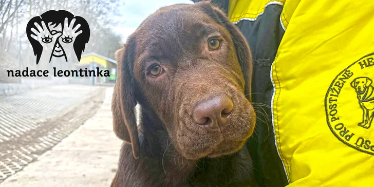 Složme se zrakově postiženému Ondrovi na výcvik asistenčního pejska