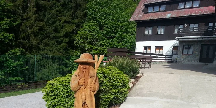 Letní pobyt v Krkonoších: turistika, výlety a ubytování s polopenzí