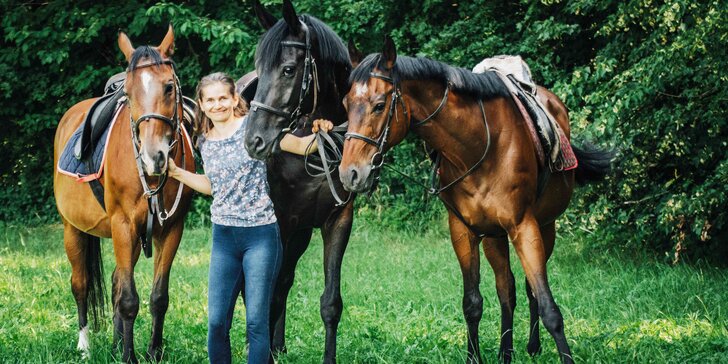 Prožijte fajn den u koní: seznámení, péče i jízda pod dohledem trenéra