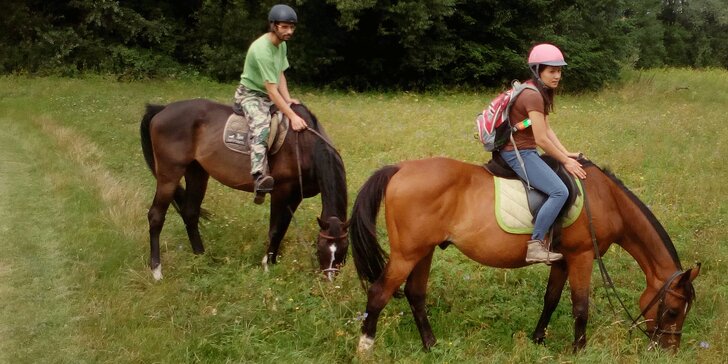 Výuka jízdy na koních: 1 až 10 hodin v sedle pod dohledem trenéra i celodenní výlet v sedle