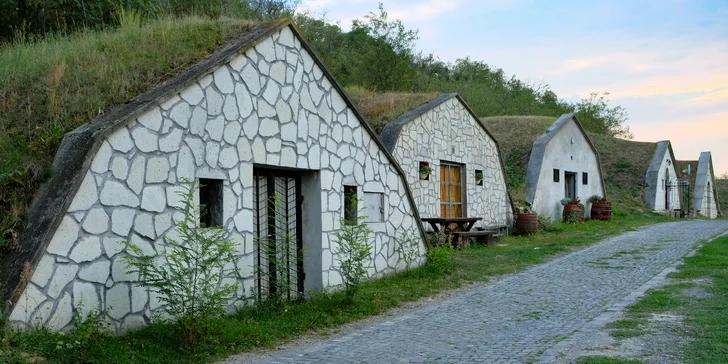 4* pobyt ve vinařské oblasti Tokaj: polopenze, neomezený wellness i sklípky