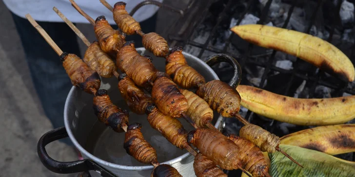 17denní poznávací zájezd do Peru: povídání s domorodci i plavání s delfíny