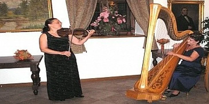 Krásná hudba: Mozart, Vivaldi, Dvořák, Smetana - duo harfa - housle 19.9.20