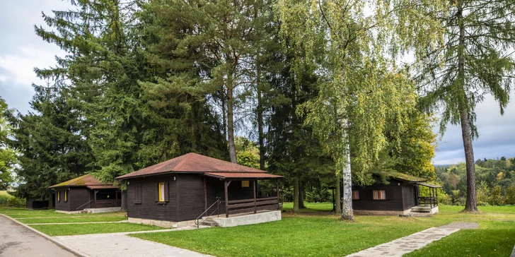 Můžete s sebou vzít i pejska.