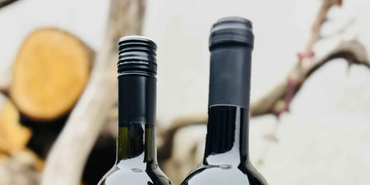 Čekají tu na vás primárně vína vranovických vinařů (červená i bílá). 
