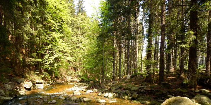 Aktivní relax v polských Krkonoších pro páry i rodiny: snídaně či polopenze, neomezený wellness
