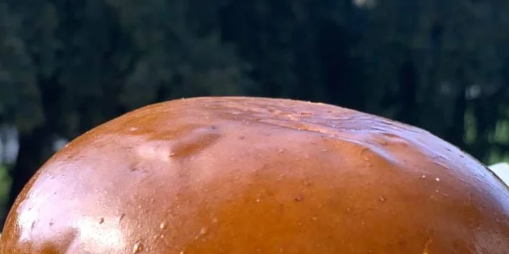 Poctivý burger v zahradní restauraci ve Štruncových sadech: 3 druhy