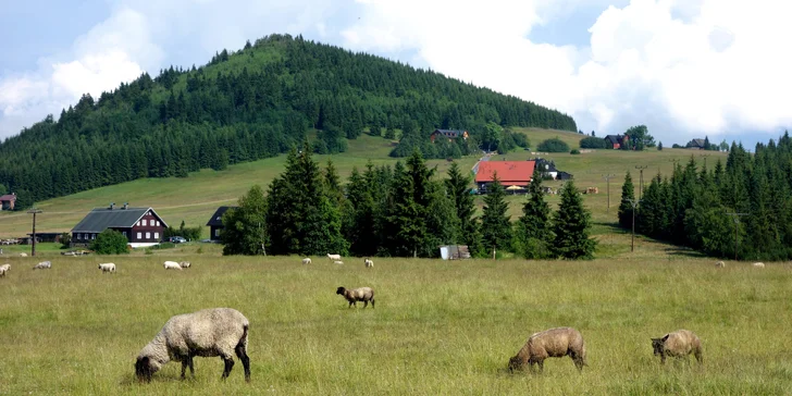 Aktivní dovolená v Krkonoších pro rodiny s dětmi nebo přáteli v pohodlném apartmánu