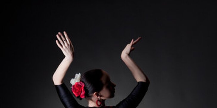 Kurz flamenca pro začátečníky
