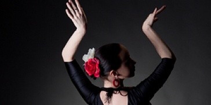 Kurz flamenca pro začátečníky