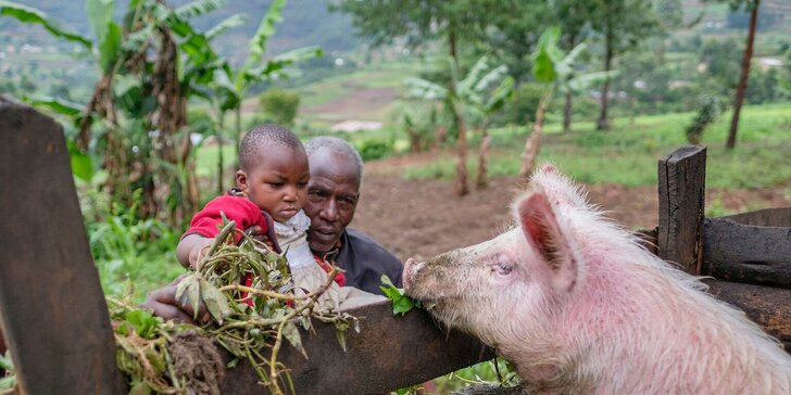 Pomozte s UNICEF dětem ve Rwandě: koza, prasátko nebo finanční příspěvek