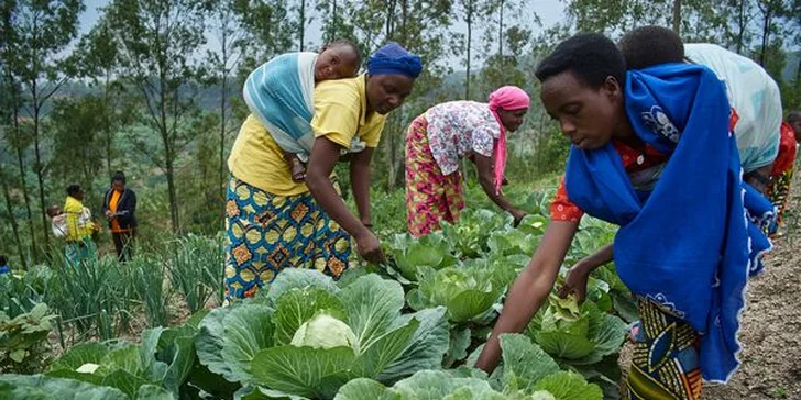 Pomozte s UNICEF dětem ve Rwandě: koza, prasátko nebo finanční příspěvek