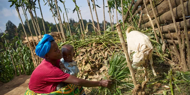 Pomozte s UNICEF dětem ve Rwandě: koza, prasátko nebo finanční příspěvek