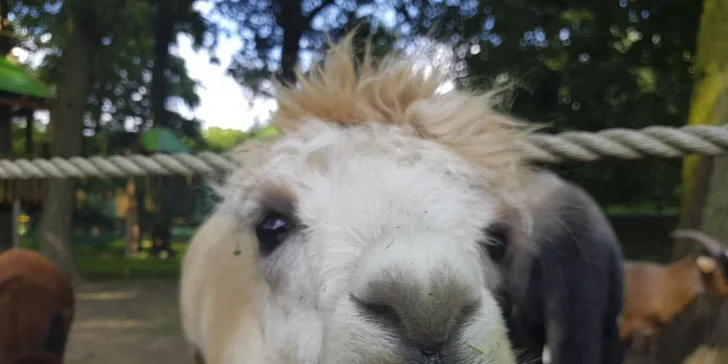 Těší se na vás i zdejší zvěř. 