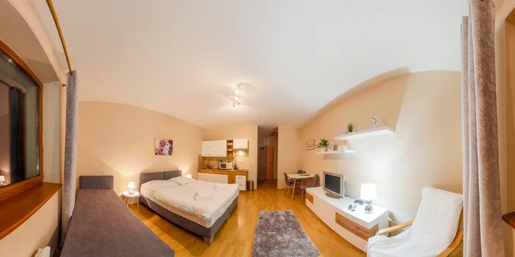 Jednoizbový apartmán 