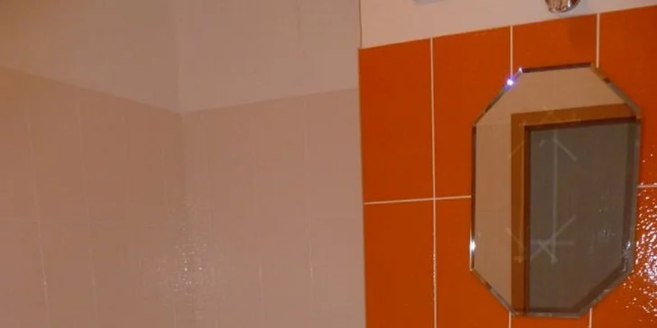 K apartmánu patří samozřejmě i koupelna s toaletou.