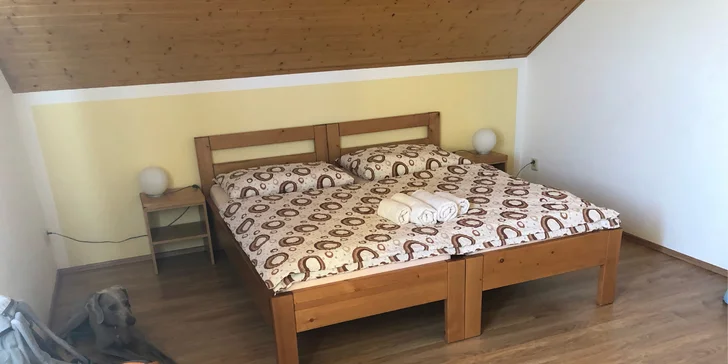 Pobyt na jižní Moravě: snídaně, konzumace vína i láhev na pokoji