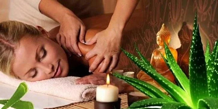 Exkluzivní masáž Aloe Vera zad a šíje v Plzni