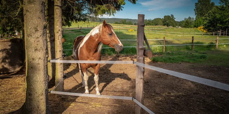 Víkend plný zážitků: 3denní fotokurz v přírodě i s jízdou na koni