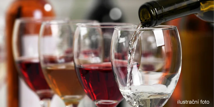Vinná degustace vinařství Nešpor & Rajský v Klášterní Vinárně