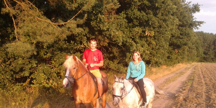 Děti, hurá do sedel: jízda na poníkovi v přírodě okolo Kunětické hory i kartáčování a čištění