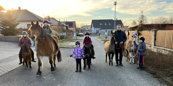 Na farmě na vás čeká pestrá a přátelská komunita čítající až dvanáct různých druhů zvířat.