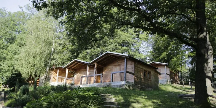 Rodinná pohoda ve srubových chatkách Bunč s wellness a polopenzí