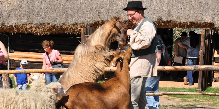 Rodinné vstupné na Řemeslné pohádkové léto ve skanzenu v Kouřimi